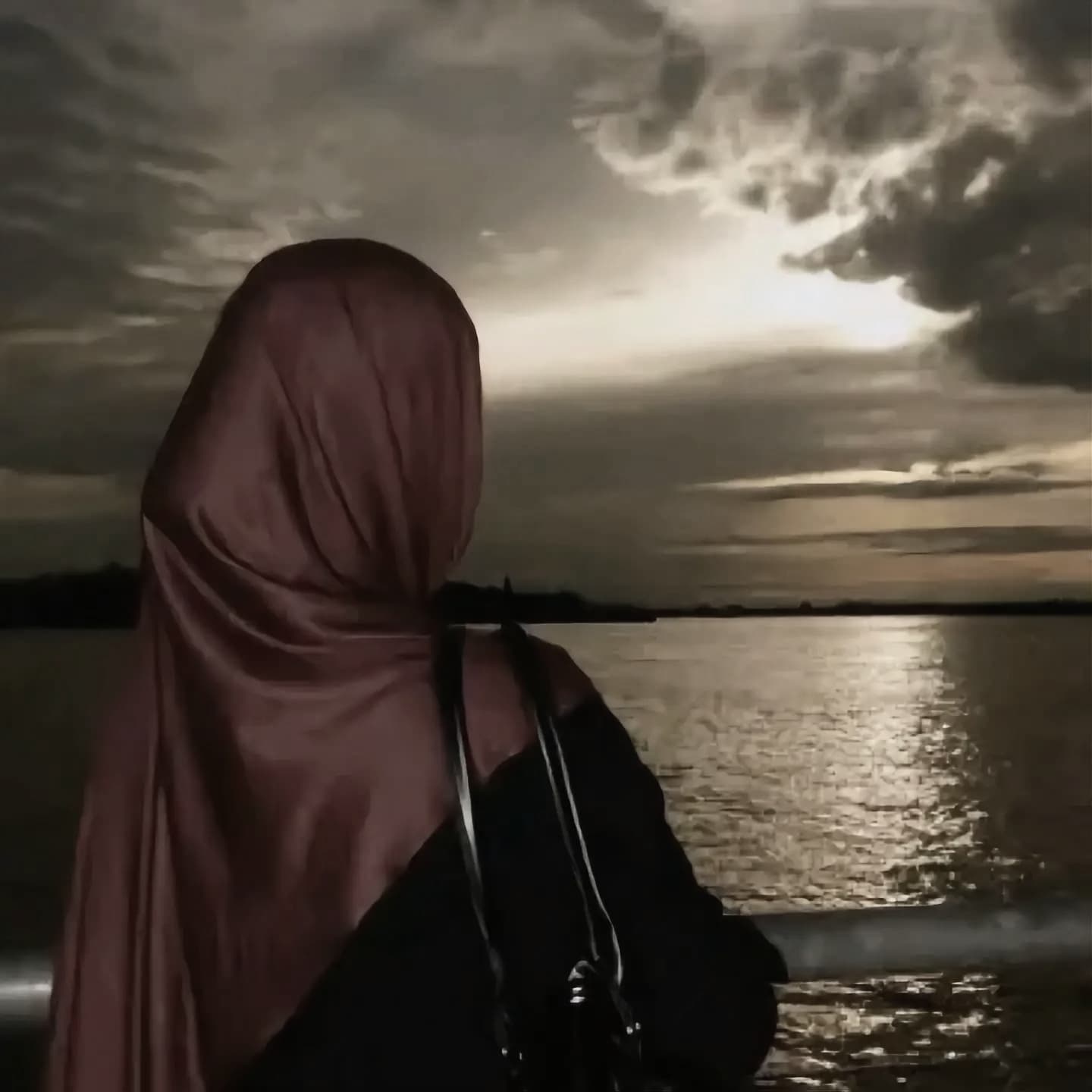 Ammara's profile picture